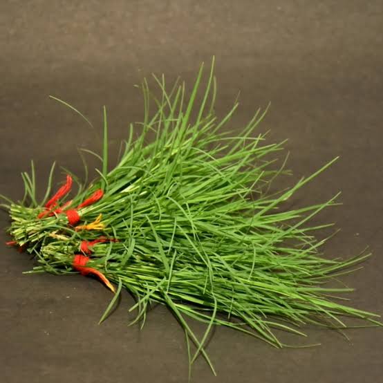 images 2025 08 18T200323.007 गणपतीच्या २१ दुर्वांचा अर्थ आणि महत्त्व | 21 Durva Significance in Marathi